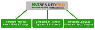 Download WhatSender Pro 6.2 With Crack Setup Freeq Download WhatSender Pro 6.2 With Crack Setup Free