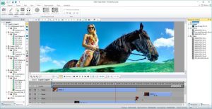 VSDC Video Editor Pro Crack