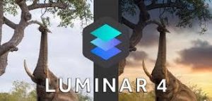 Luminar Crack